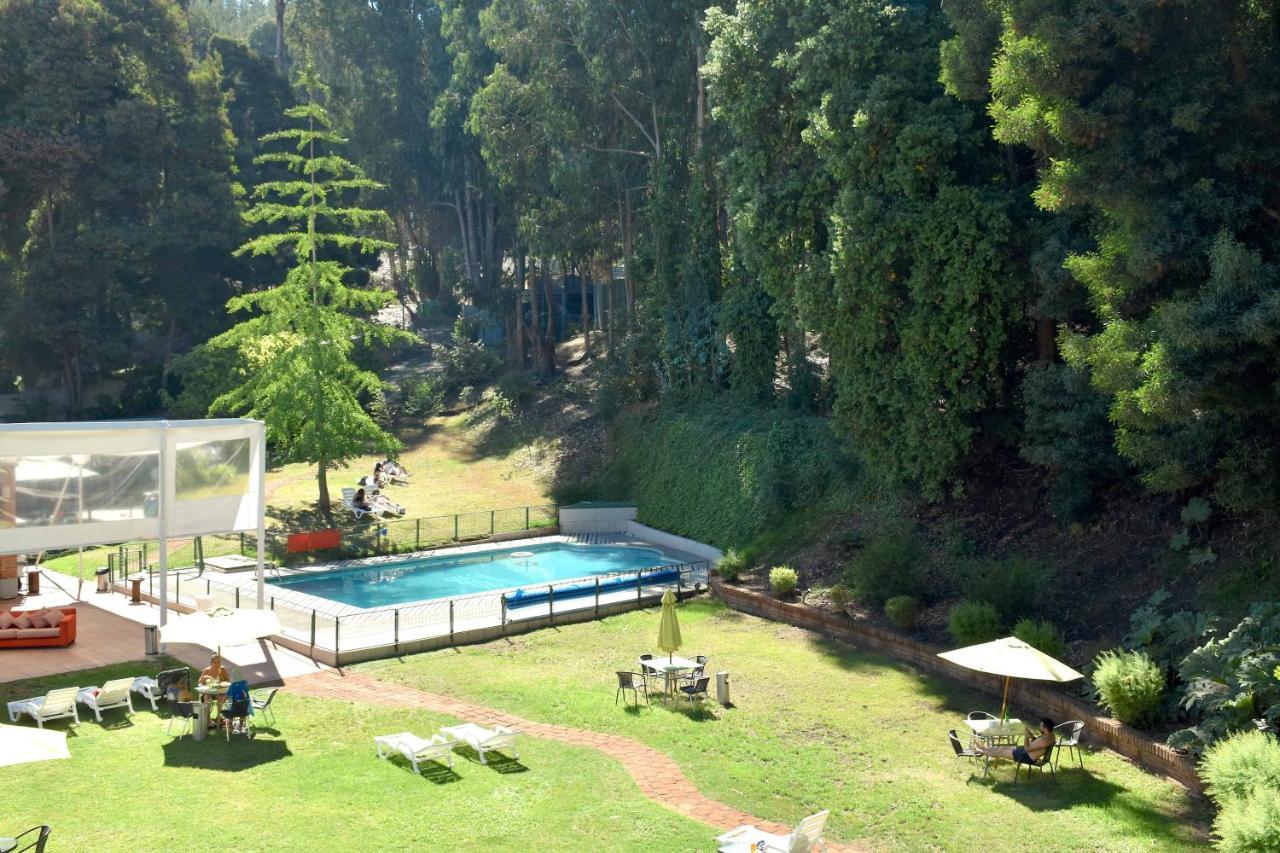 Hotel Bosque De Renaca ビニャ・デル・マール エクステリア 写真