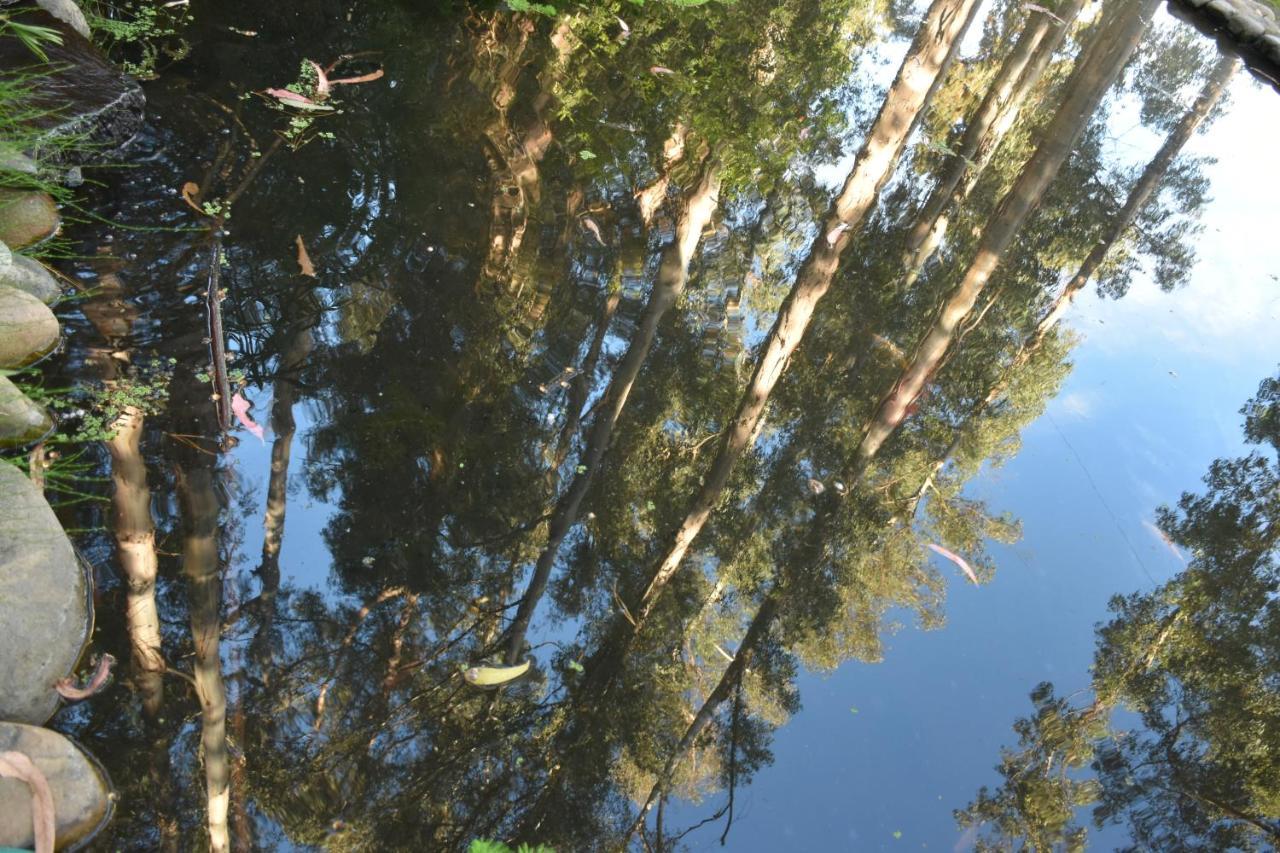 Hotel Bosque De Renaca ビニャ・デル・マール エクステリア 写真