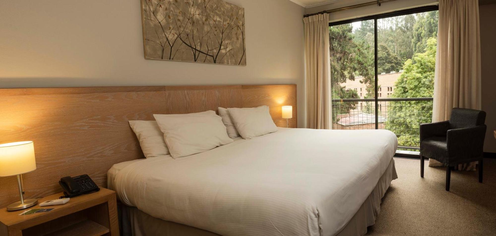 Hotel Bosque De Renaca ビニャ・デル・マール エクステリア 写真