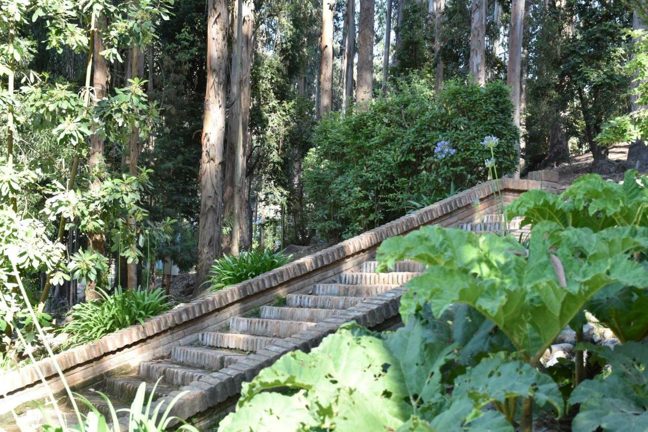 Hotel Bosque De Renaca ビニャ・デル・マール エクステリア 写真