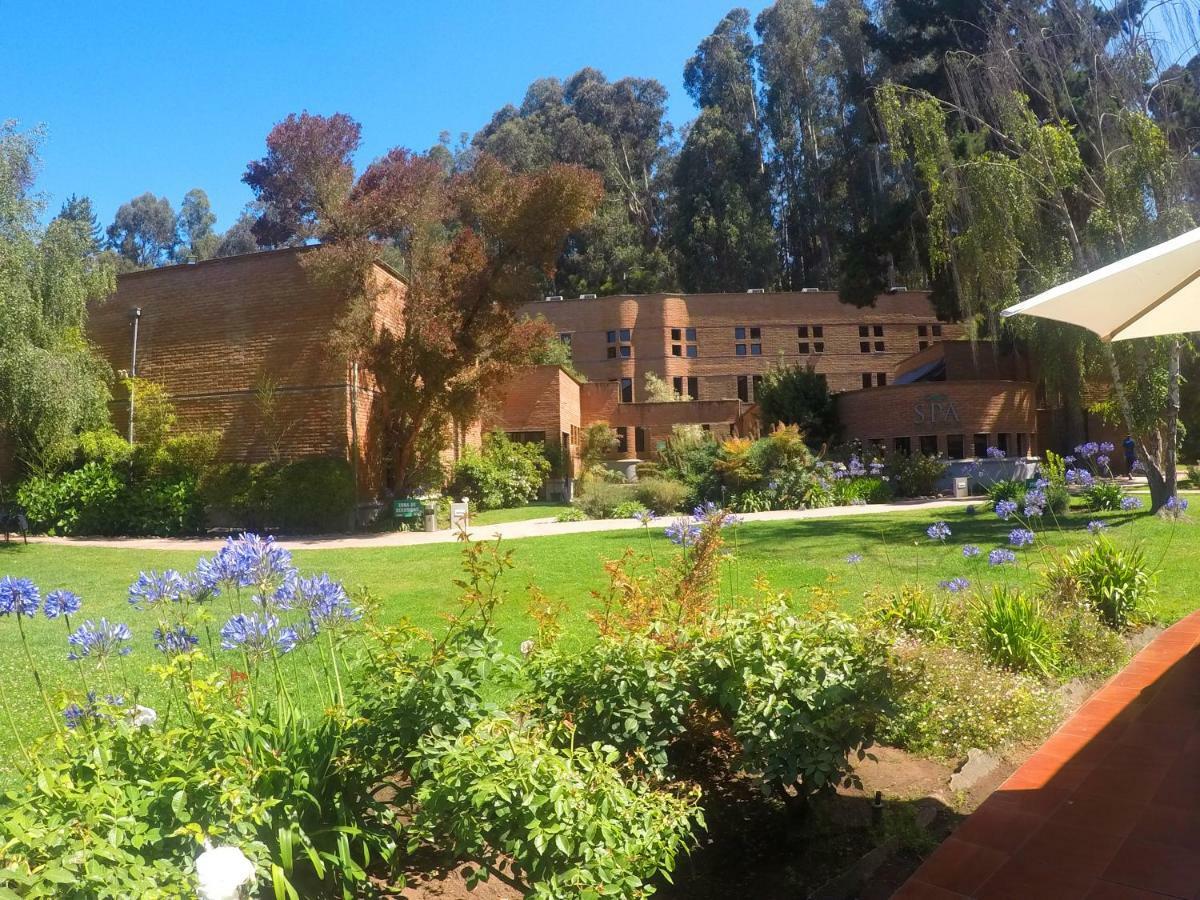 Hotel Bosque De Renaca ビニャ・デル・マール エクステリア 写真