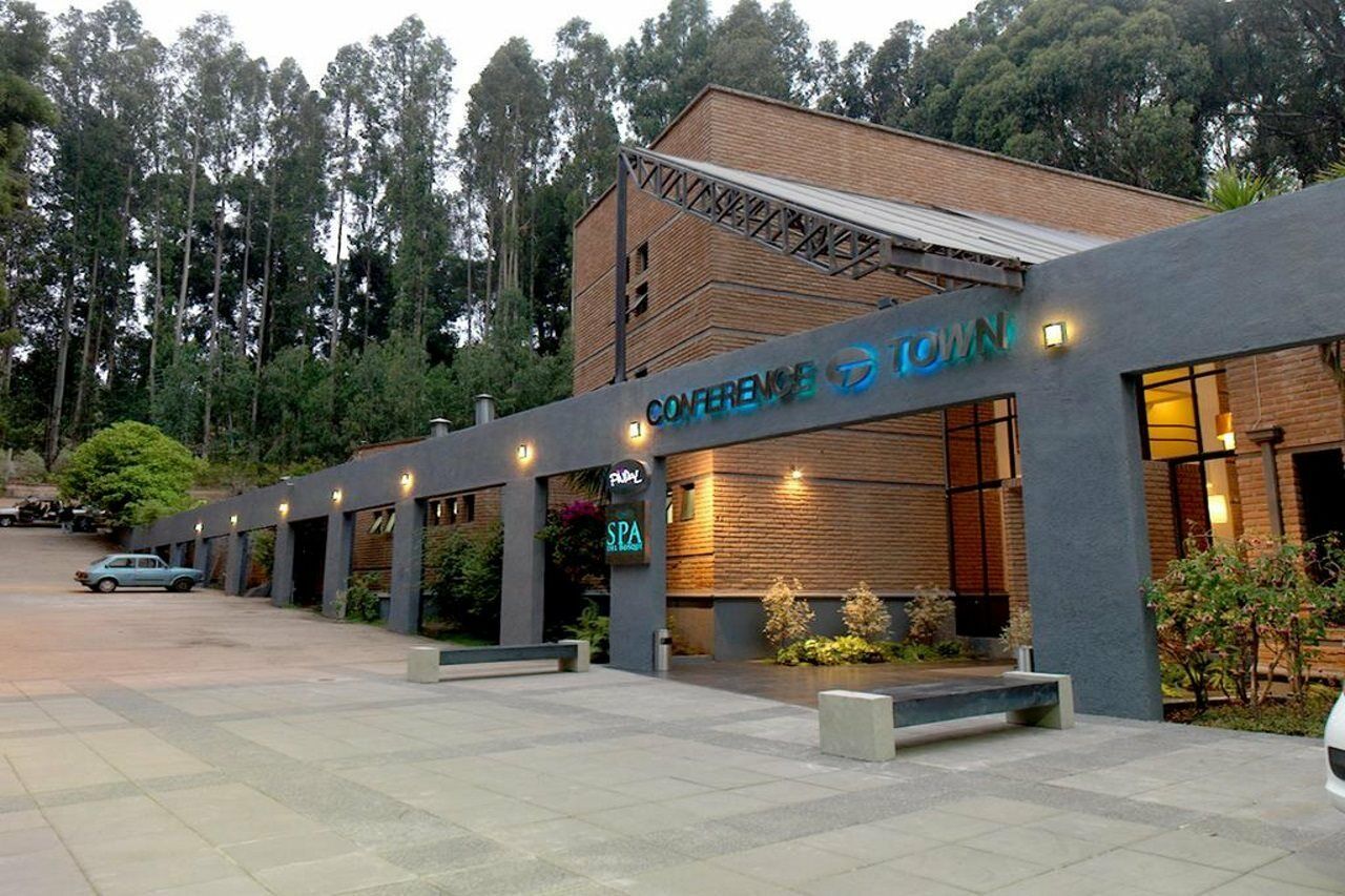 Hotel Bosque De Renaca ビニャ・デル・マール エクステリア 写真